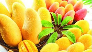 mangoes