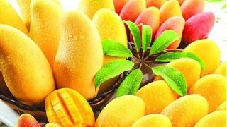 Mangoes