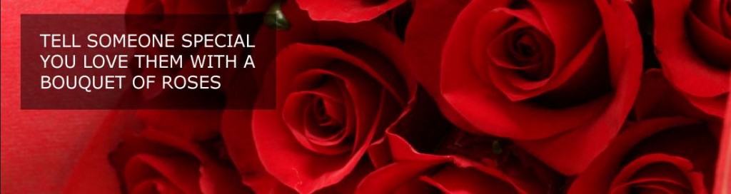 Why Do Red Roses Signify Love? - Indoindians.com