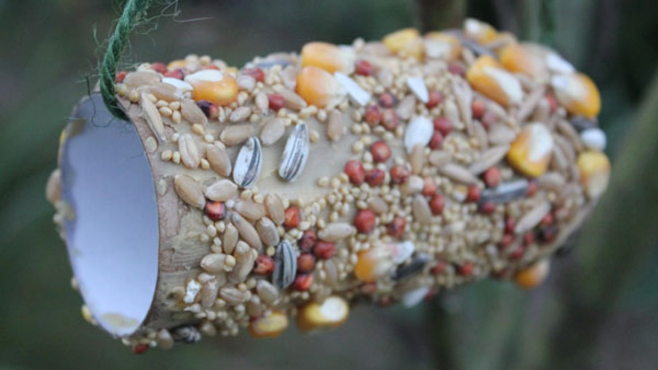 Easy To Make Bird Feeder Indoindians Com