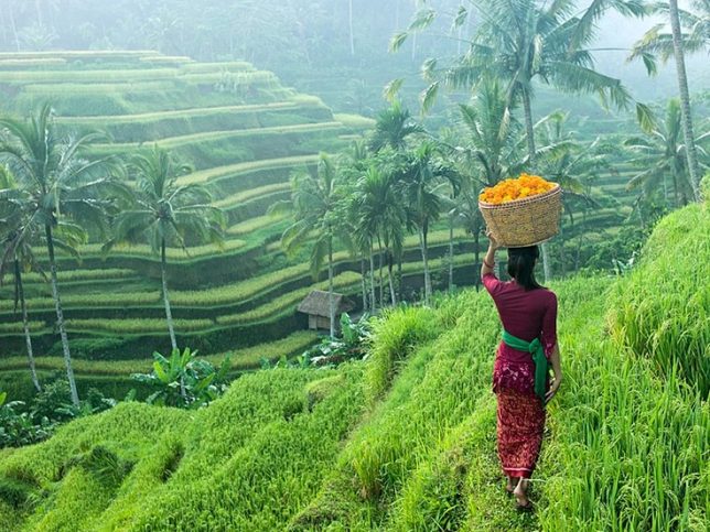 3 Days in Ubud Itinerary - Indoindians.com