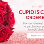 Indoindians Weekly Newsletter: Celebrating Love on V-Day