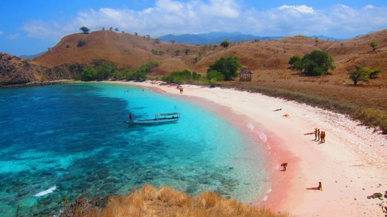 The Marvelous Pink Beach at Labuan Bajo - Indoindians.com