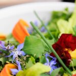 6 Edible Flowers That Are Full of Nutrition