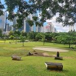 Here’s Your Sign to Explore Jakarta’s Beautiful Outdoors: GBK City Forest