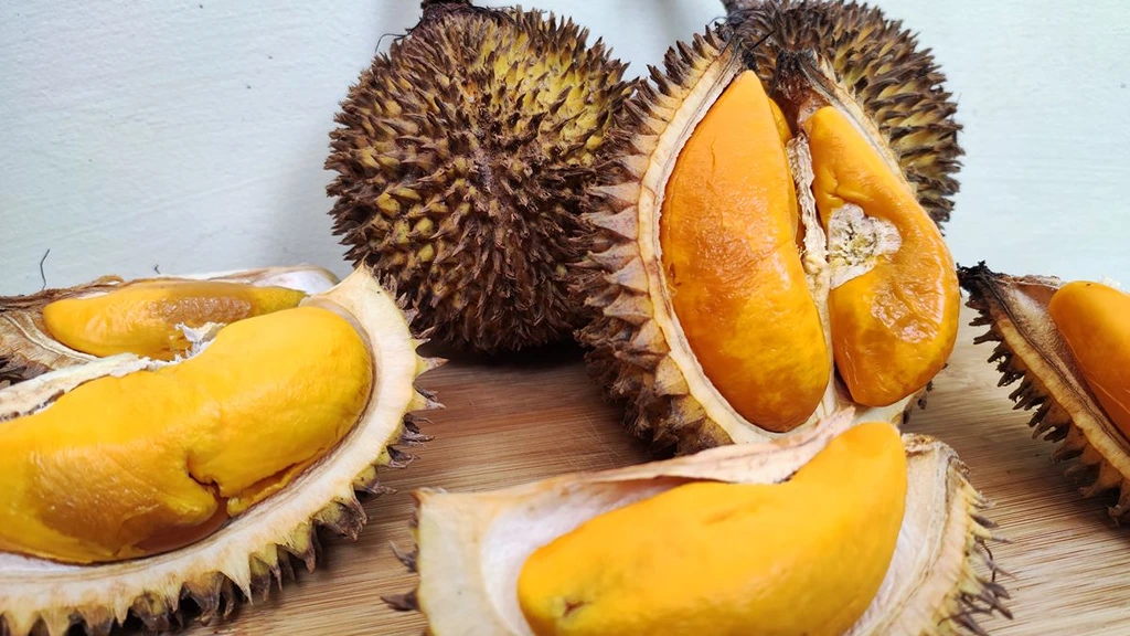 Discover 15 Unique Fruits in Indonesia You Need to Try at Least Once Lai Similar to Durian