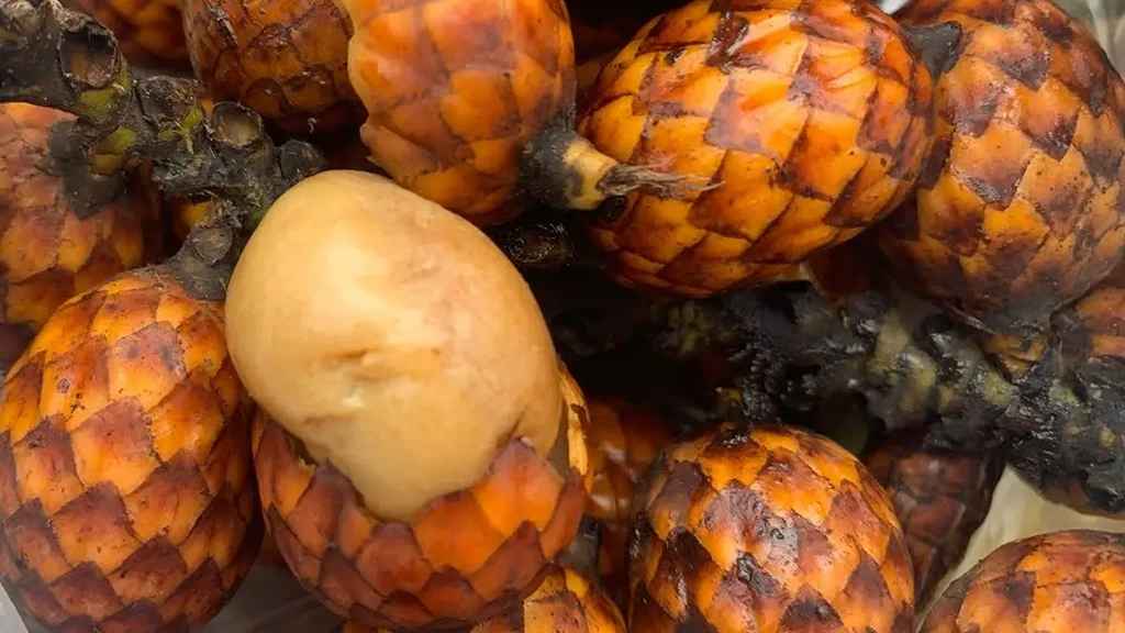 Discover 15 Unique Fruits in Indonesia You Need to Try at Least Once Manau