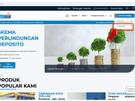 Figure 3 Internet Banking Business access through BOI Indonesia Official Website