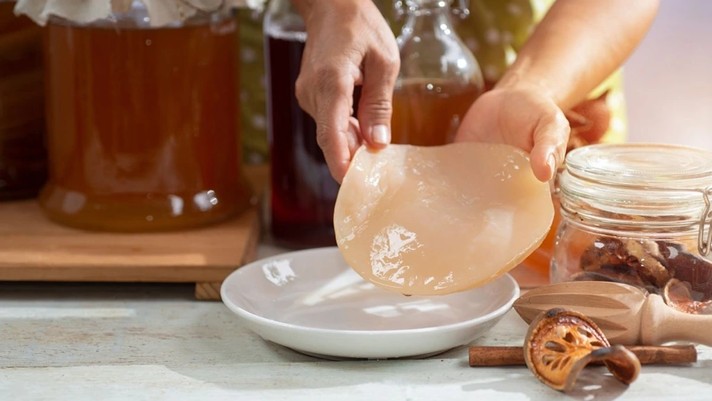 Scoby or symbiotic culture of bacteria and yeast