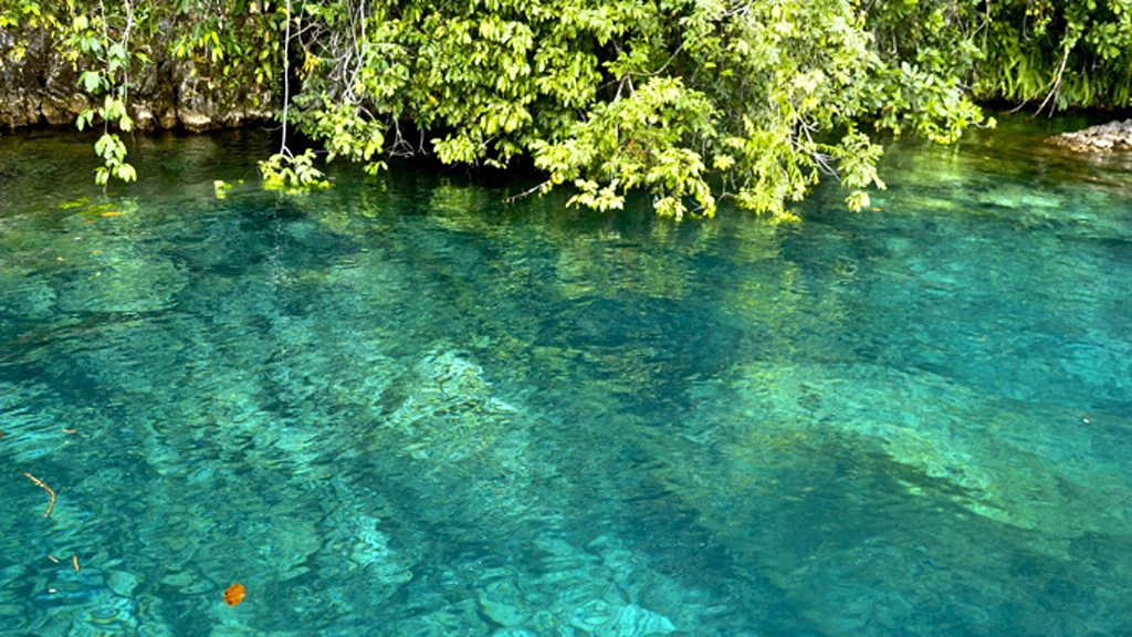 The Bottom of the Lake is Clearly Visible